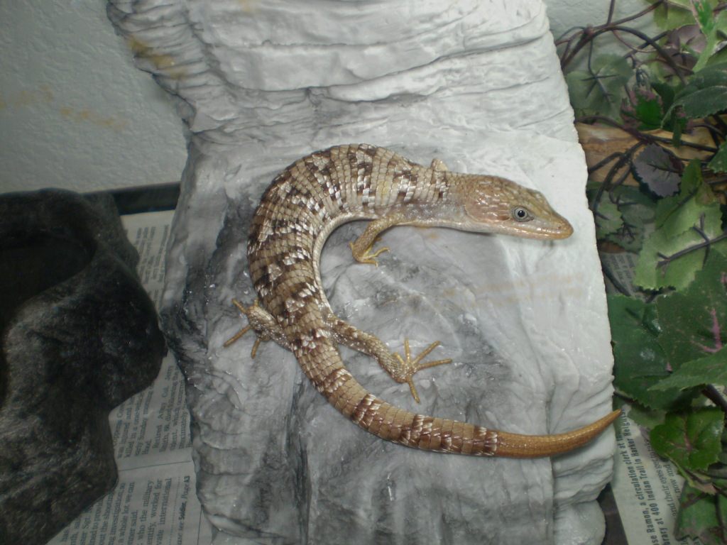 Female 5/02/09