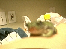 Turtle the WTF