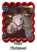 "Appy" Christmas!!!