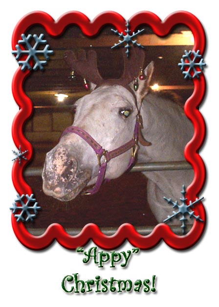 "Appy" Christmas!!!