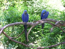 zoo3