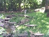 zoo12