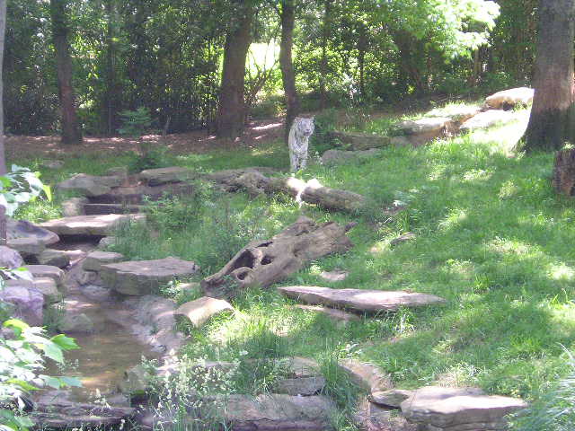 zoo12