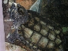 zoo10