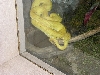 zoo11