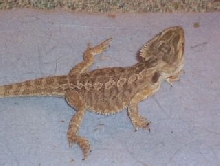 Rankins? Pic 2
