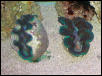 Saltwater Photos