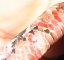 2 close up