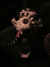 Patron playin with skull