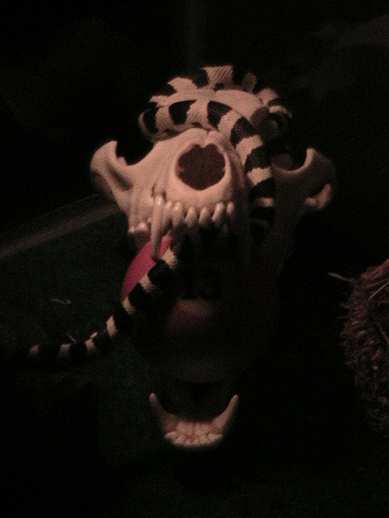 Patron playin with skull