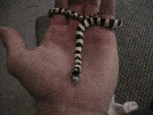 In my Hand...