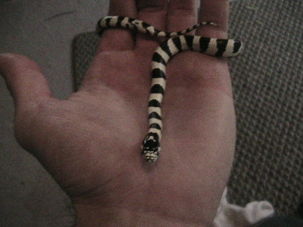 In my Hand...