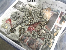 05 peruvian clutch