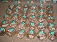 EGGS 2010