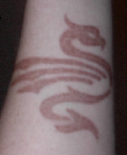 Dragon After