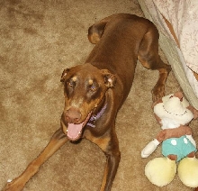 Lillian Jane "Lilly"