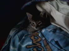 Marley