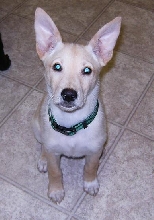 baby =]