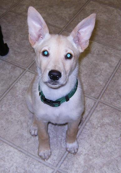 baby =]