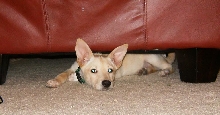 Midori Baby