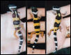 My 3 Leopard Geckos