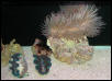 Saltwater Photos