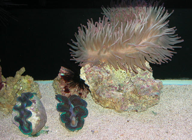 Saltwater Photos
