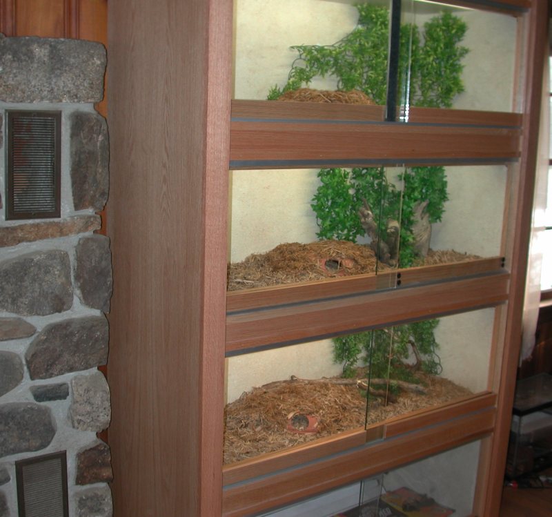 Cage Decor