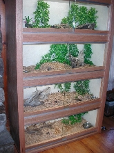 Updated Enclosure
