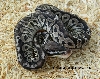 Black Pewters 2