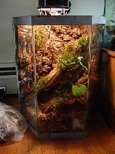 imitator tank