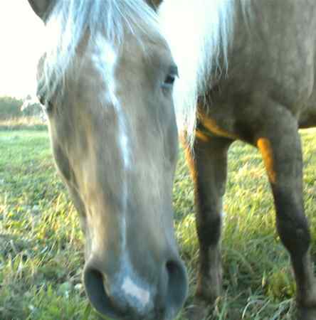 Hello!