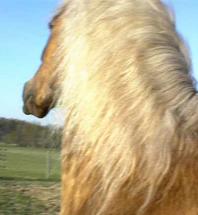 More Scratching!