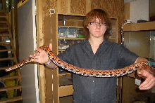 Holding BRB Male