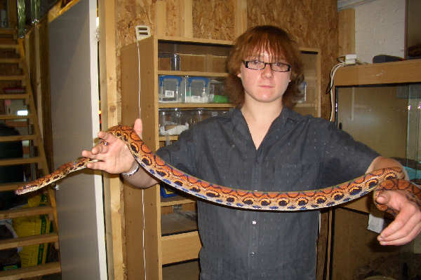 Holding BRB Male