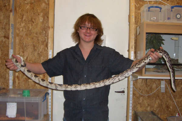 7 Foot Northern Pine