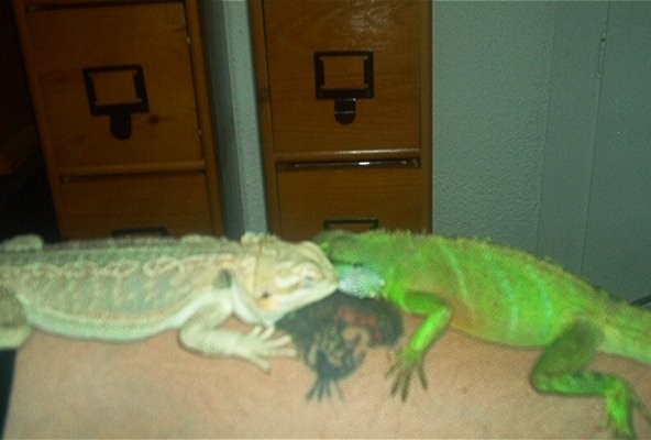 NapTime