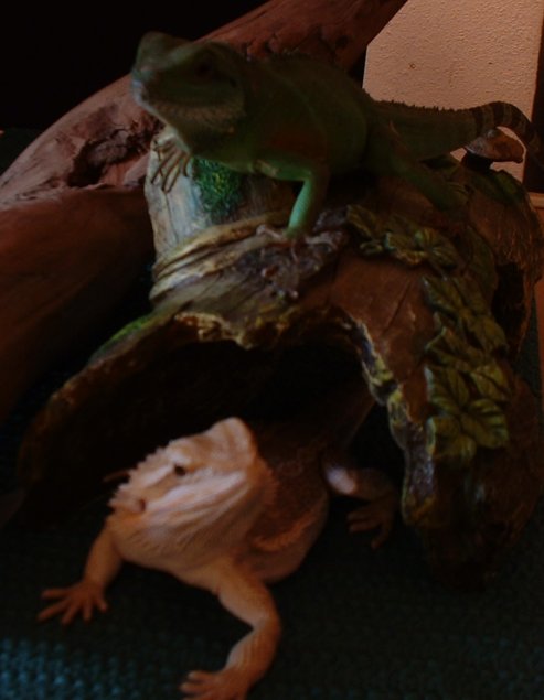 Strange frendship