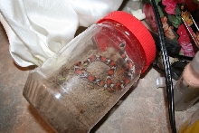 rat, scalet, king, milk?