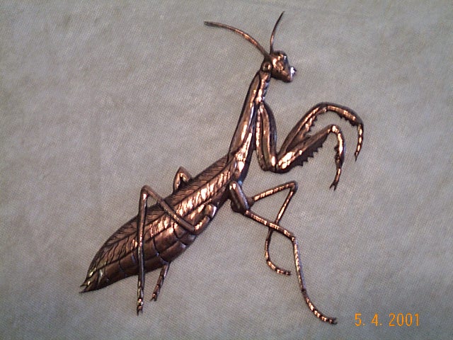 Copper_PrayingMantis