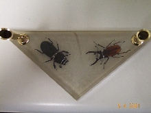 Insect_Penholder