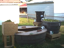 set up for turtles