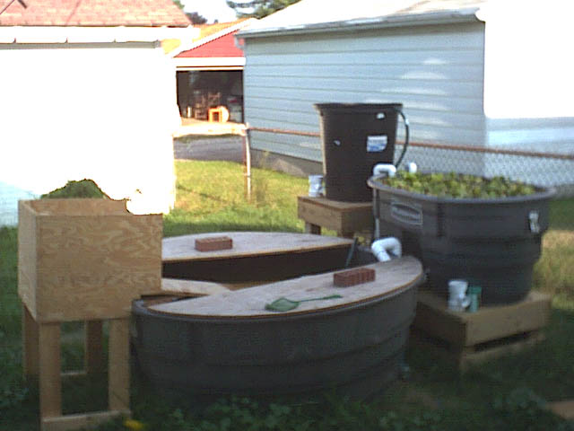 set up for turtles