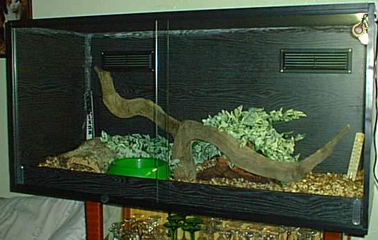 newviv2
