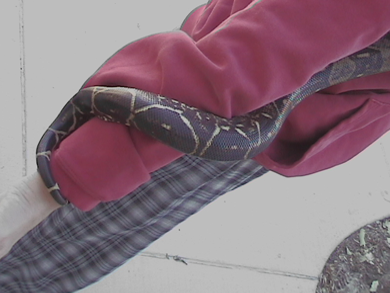 her tail
