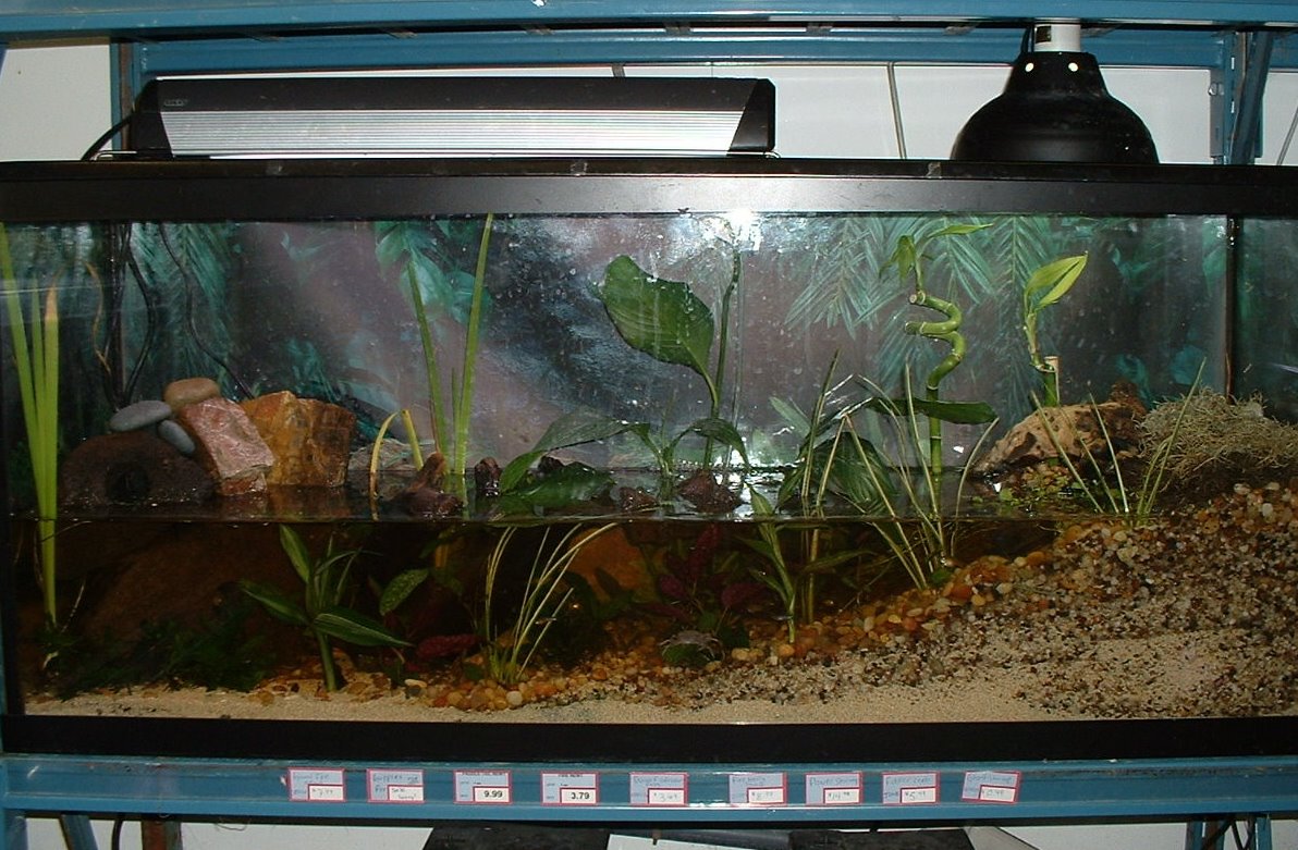 paludarium