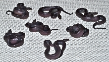 Super motley Boa