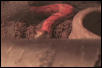 Female hypo corn snake