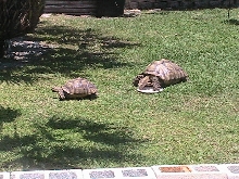 Max and Ernie