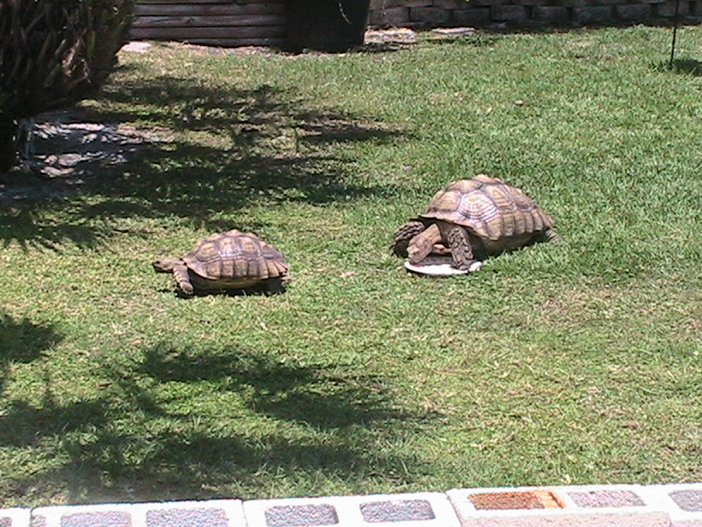 Max and Ernie